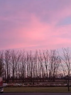 Monroe Lawn Rangers Logo