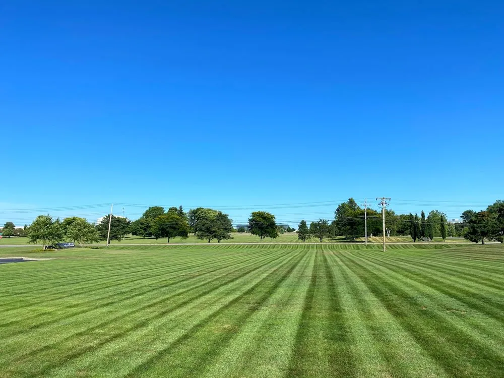 Affordable landscape installation in Rochester, NY - Monroe Property Maintenance