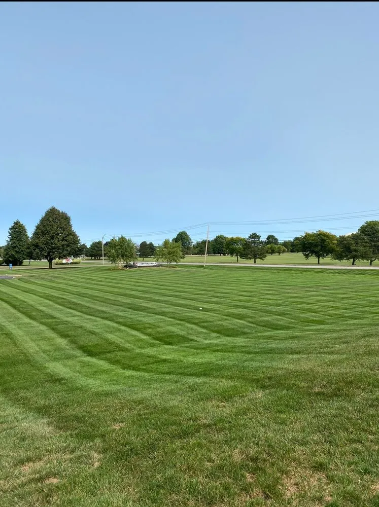 Local yard cleanup service in Rochester, NY - Monroe Property Maintenance