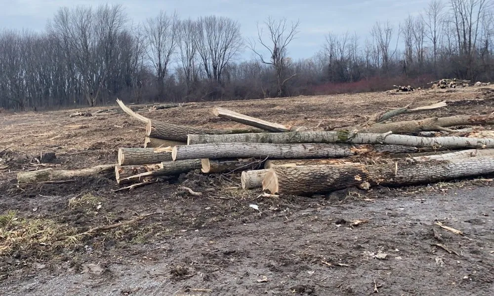 Professional landscaping services in Rochester, NY by Monroe Property Maintenance