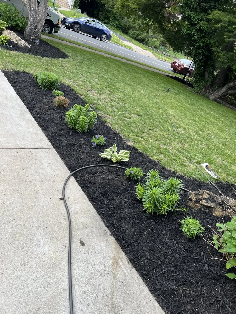 Custom yard maintenance for outdoor upgrades across Lansdowne, PA - Monrose and Sons Lawncare