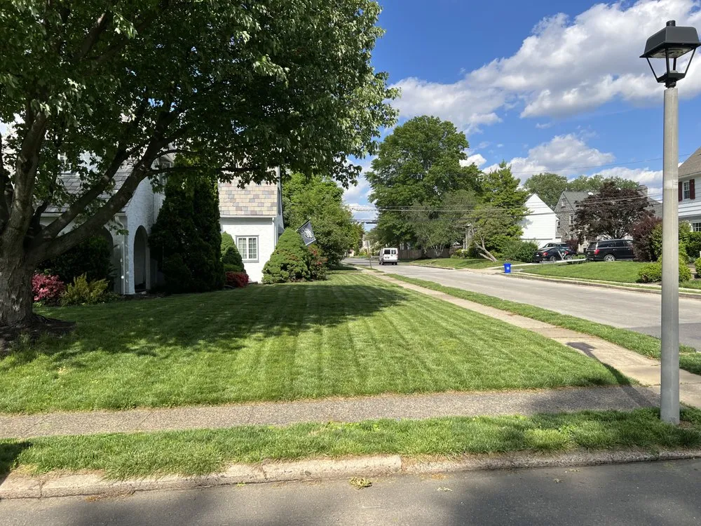 Trusted yard cleanup service with custom design across Lansdowne, PA - Monrose and Sons Lawncare