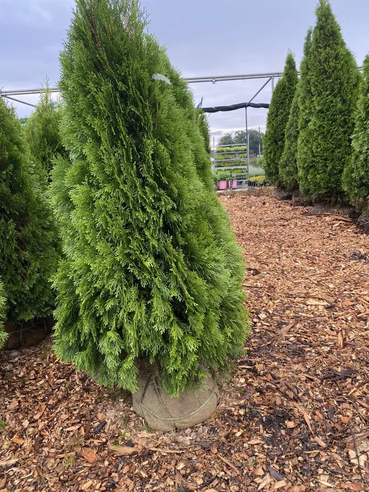 Top-rated residential landscaping for residential properties across Leominster, MA - Monroy Brothers Landscaping