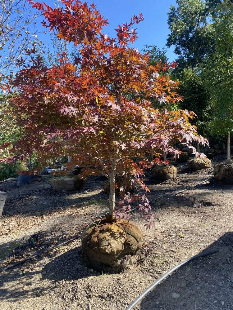 Trusted landscaping services experts serving Leominster, MA - Monroy Brothers Landscaping