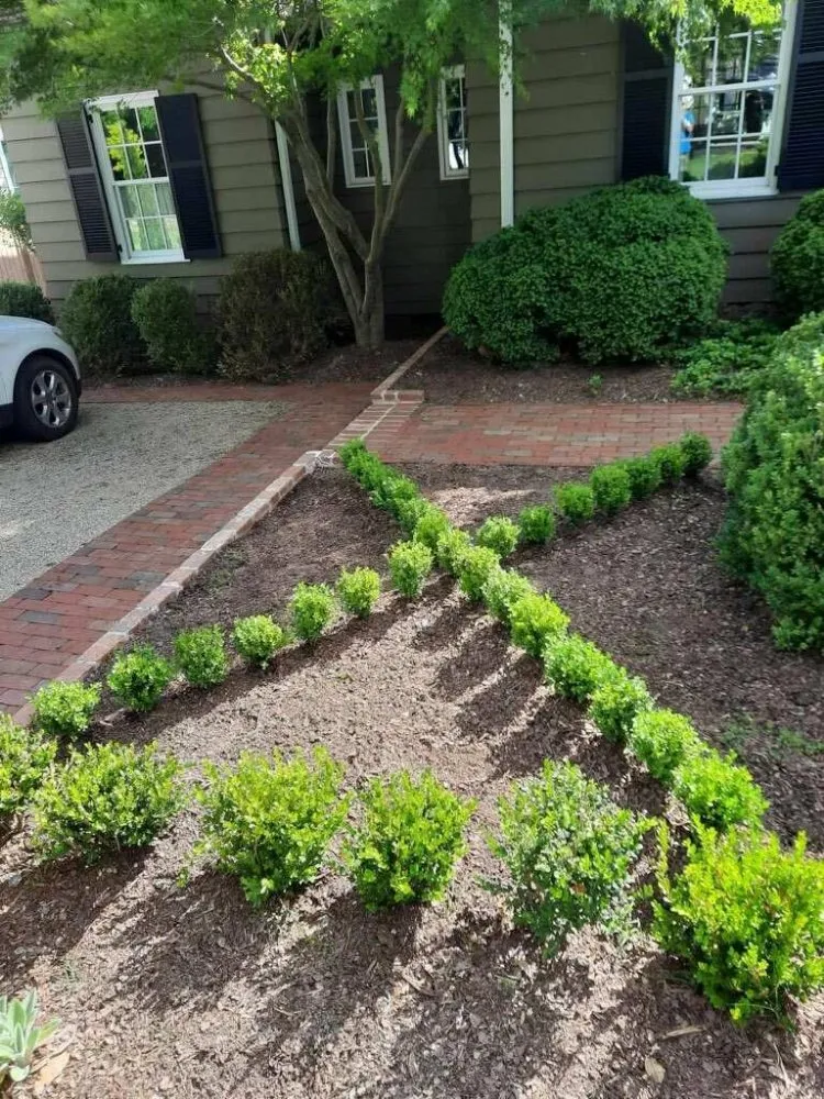Top-rated landscape installation for outdoor upgrades in Eden, NC by monroy landscaping