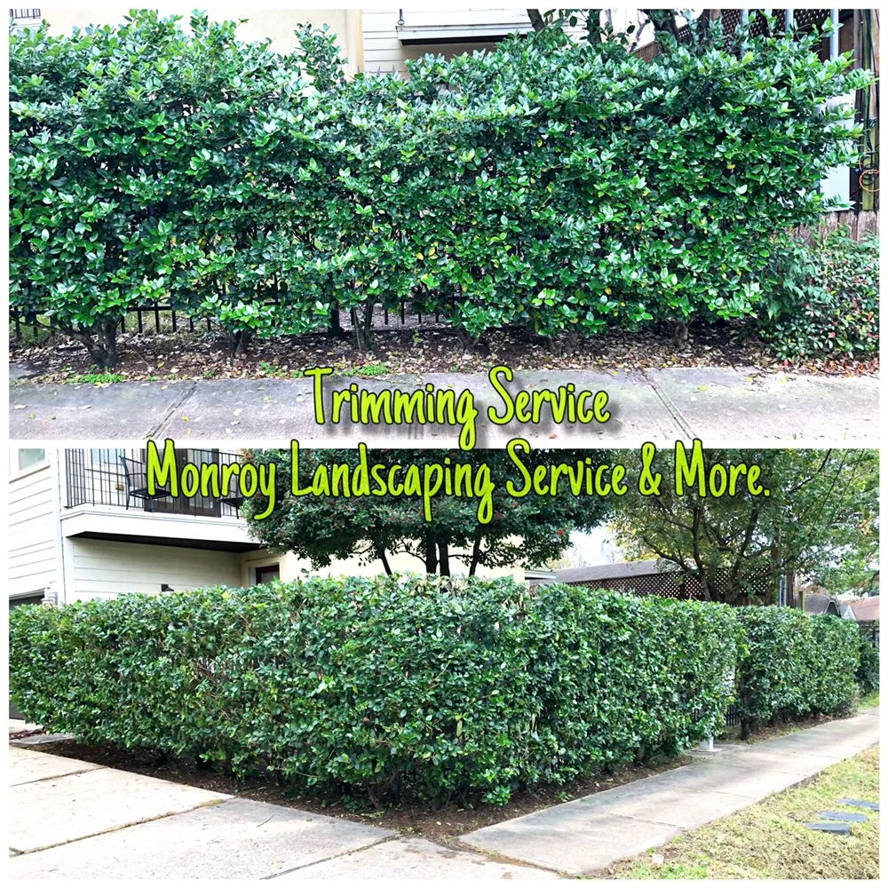 Affordable outdoor landscaping experts serving Houston, TX - Monroy Landscaping