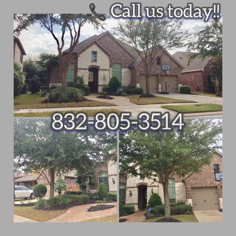 Top-rated yard maintenance in Houston, TX by Monroy Landscaping