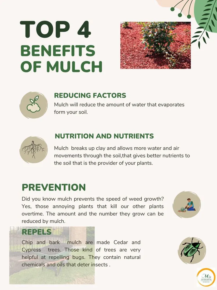 Reliable garden landscaping in Houston, TX by Monroy Landscaping