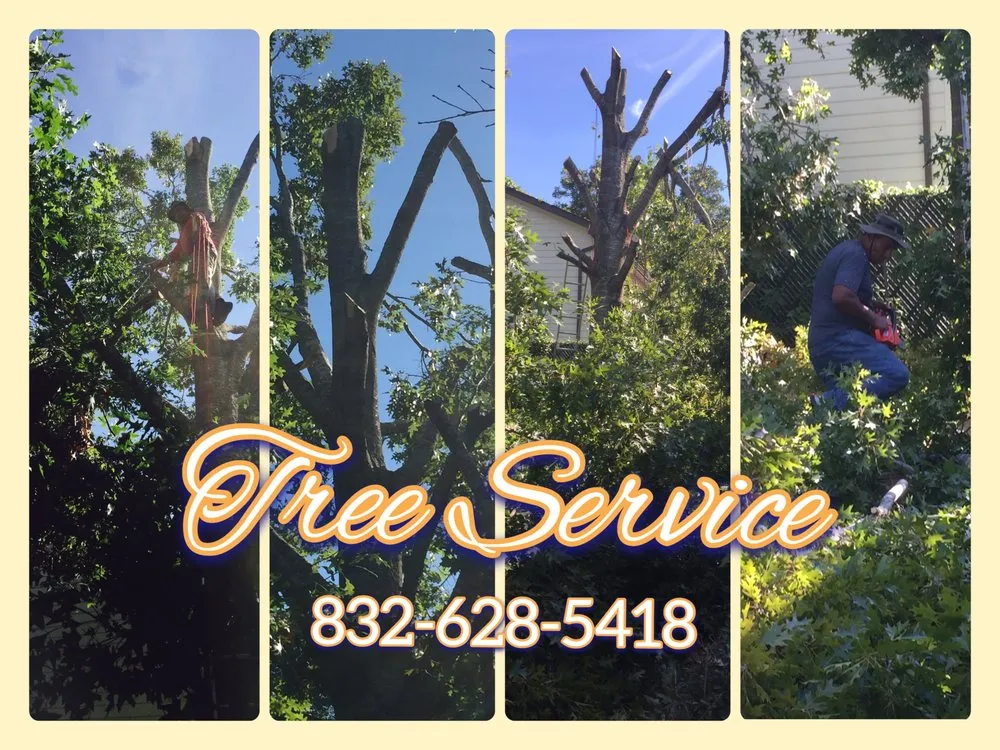Trusted residential landscaping for outdoor upgrades across Houston, TX - Monroy Landscaping
