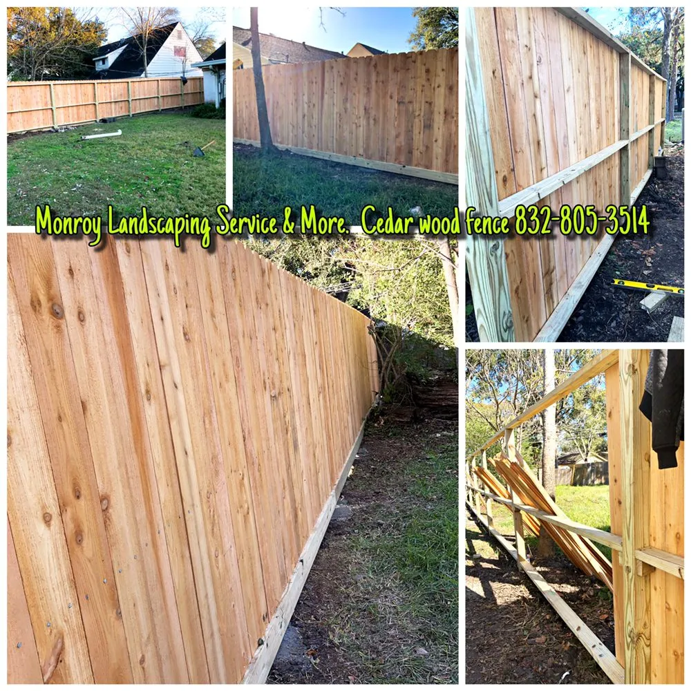 Affordable yard cleanup service for residential properties across Houston, TX - Monroy Landscaping