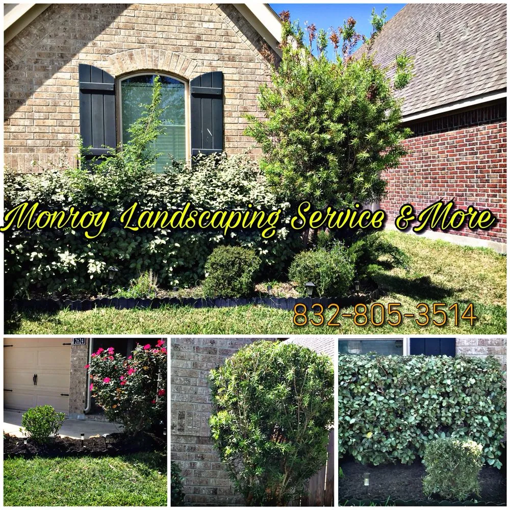 Top-rated outdoor landscaping experts serving Houston, TX - Monroy Landscaping