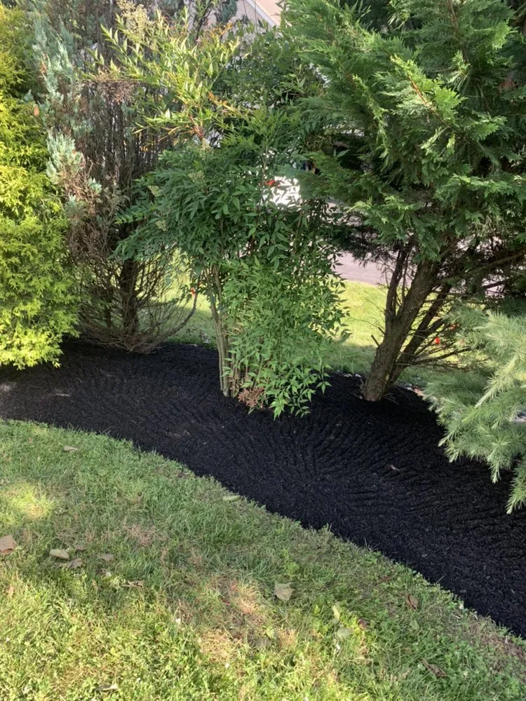 Professional lawn care service near you in Oxford, PA by Monroy Landscaping