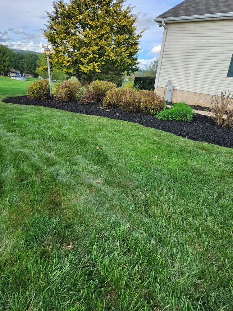 Professional landscape design in Westminster, MD - Monroy Landscaping Service