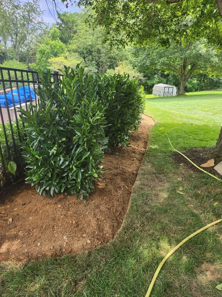 Reliable lawn care service experts serving Westminster, MD - Monroy Landscaping Service