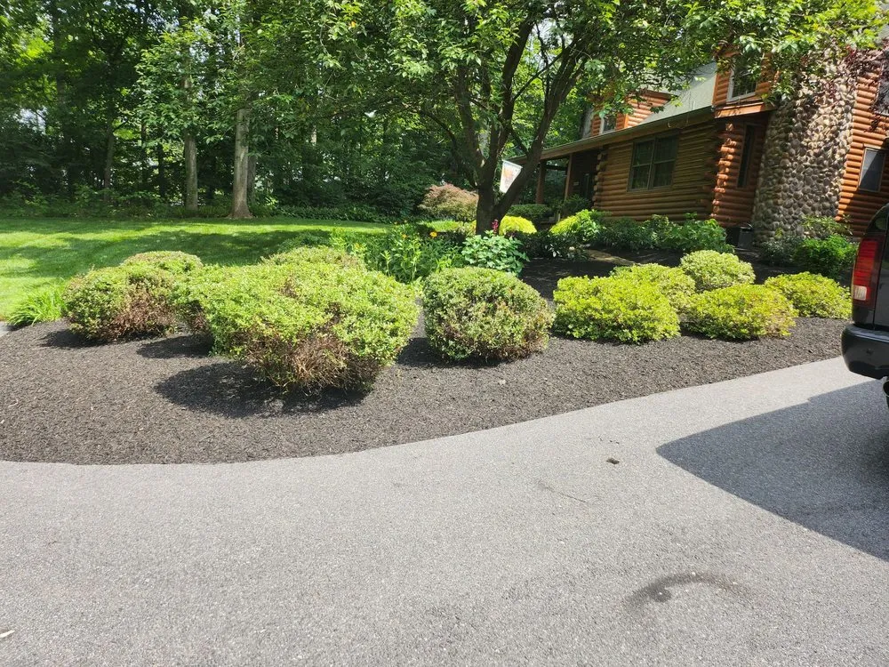 Top-rated yard maintenance experts serving Westminster, MD - Monroy Landscaping Service