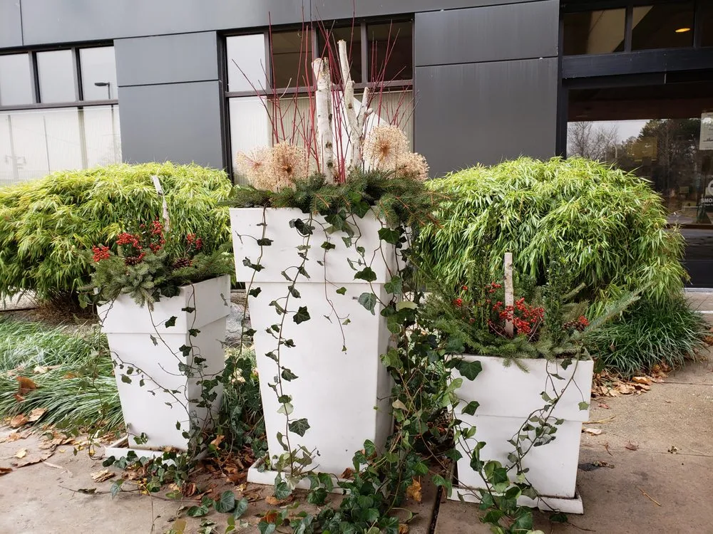 Top-rated lawn care service near you across Grand Rapids, MI - Monsma Landscape And Maintenance