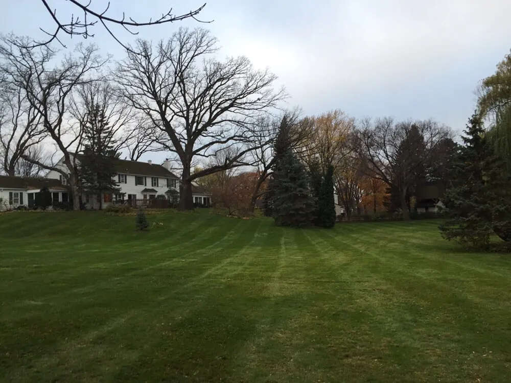 Top-rated yard maintenance experts serving Saint Paul, MN - Monson Lawn & Landscaping