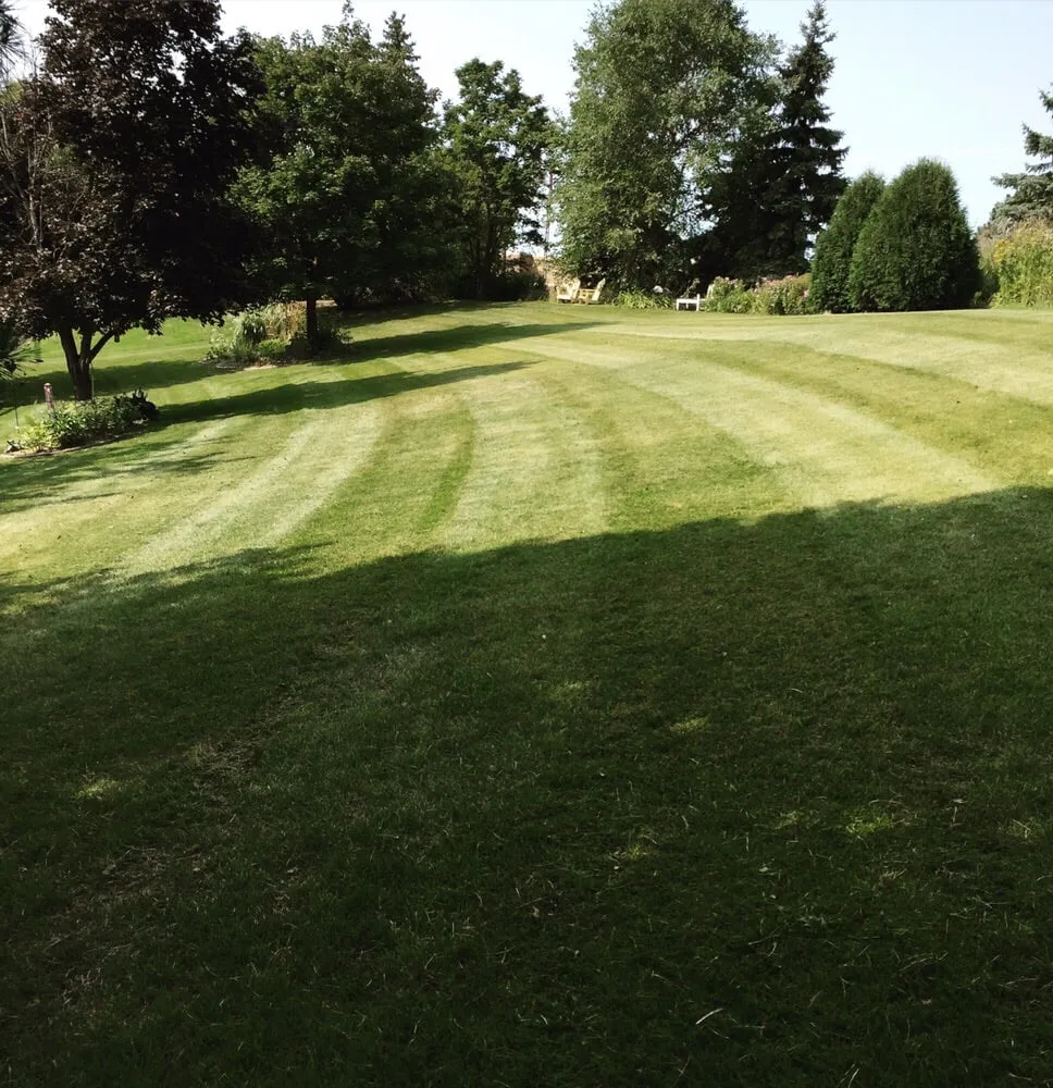 Affordable lawn care service for homes across Saint Paul, MN - Monson Lawn & Landscaping