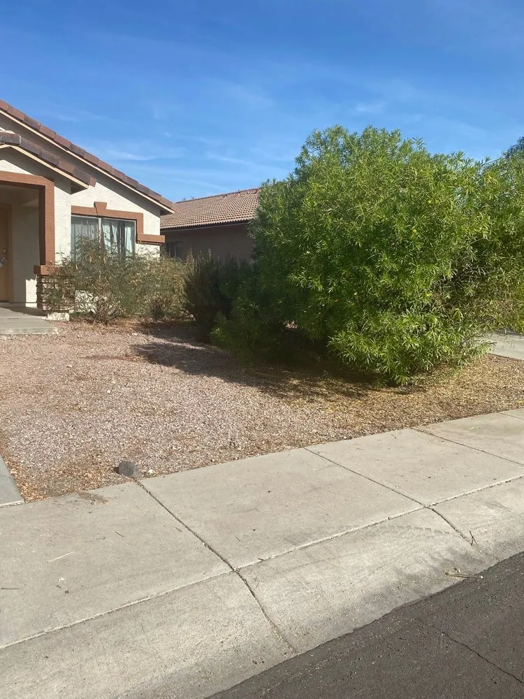 Trusted landscaping services experts serving Goodyear, AZ - Monsoon Landscape