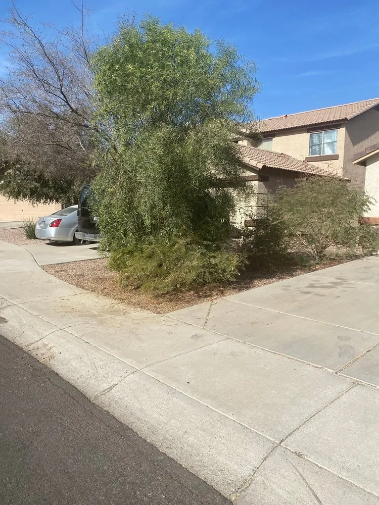 Trusted landscape design in Goodyear, AZ - Monsoon Landscape