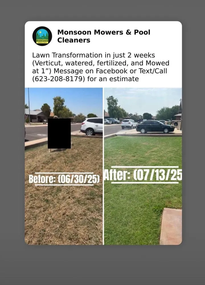 Reliable landscaping services for year-round maintenance in Litchfield Park, AZ by Monsoon