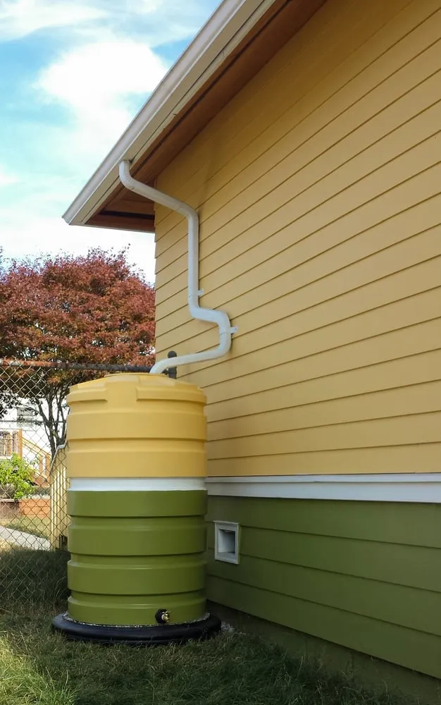 Local lawn care service for outdoor upgrades across Seattle, WA - Monsoon Rain Gardens