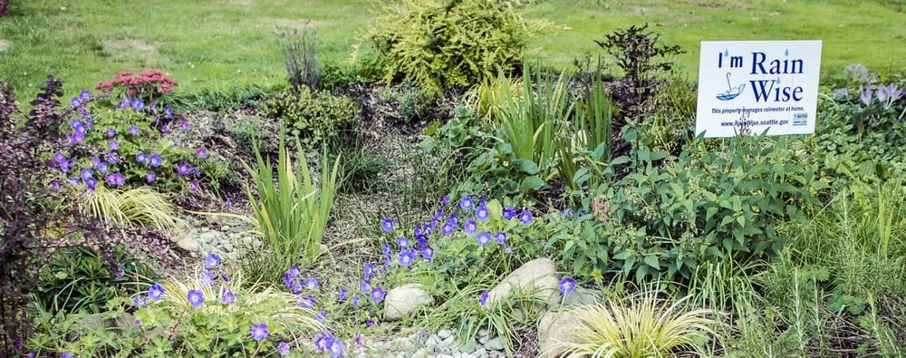 Trusted residential landscaping with custom design across Seattle, WA - Monsoon Rain Gardens