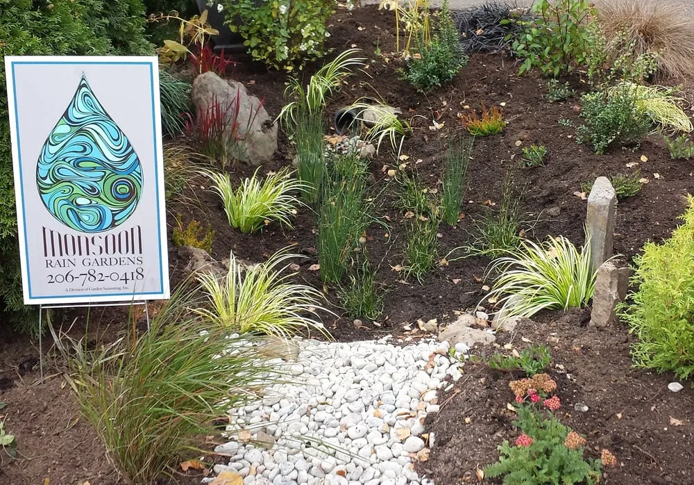 Expert yard maintenance in Seattle, WA - Monsoon Rain Gardens