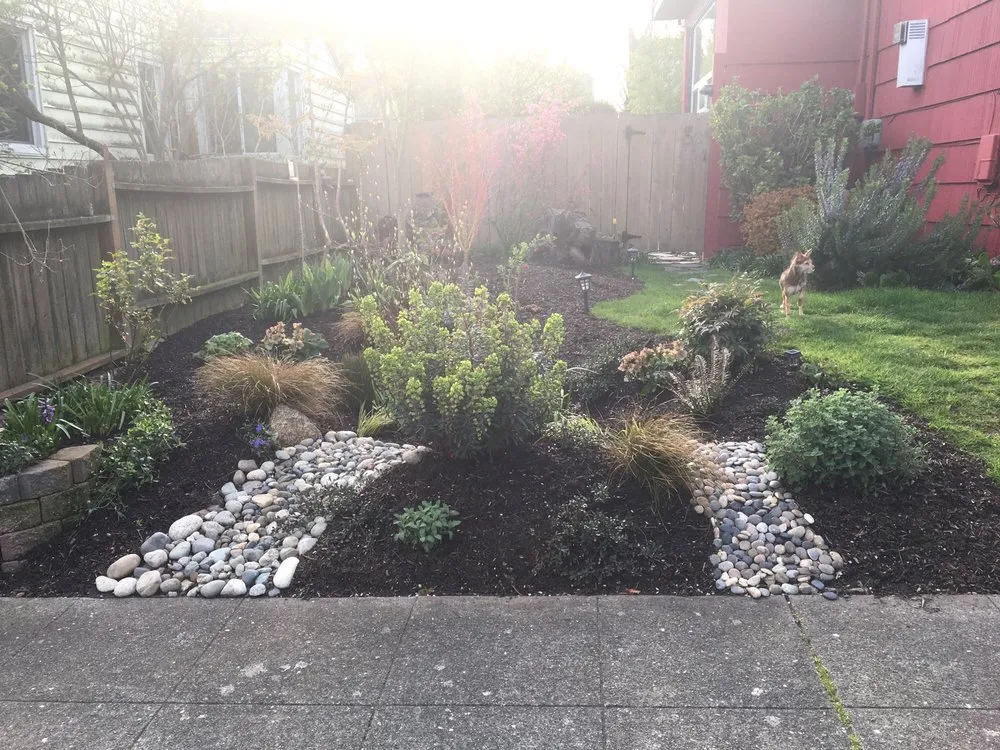 Expert yard cleanup service for residential properties in Seattle, WA by Monsoon Rain Gardens