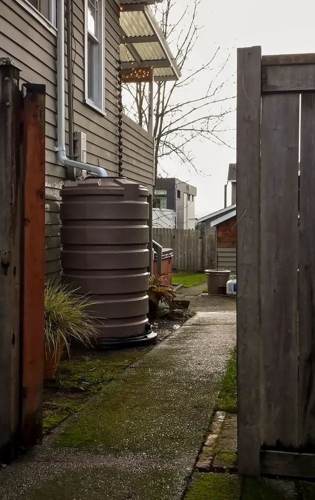 Trusted garden landscaping in Seattle, WA by Monsoon Rain Gardens