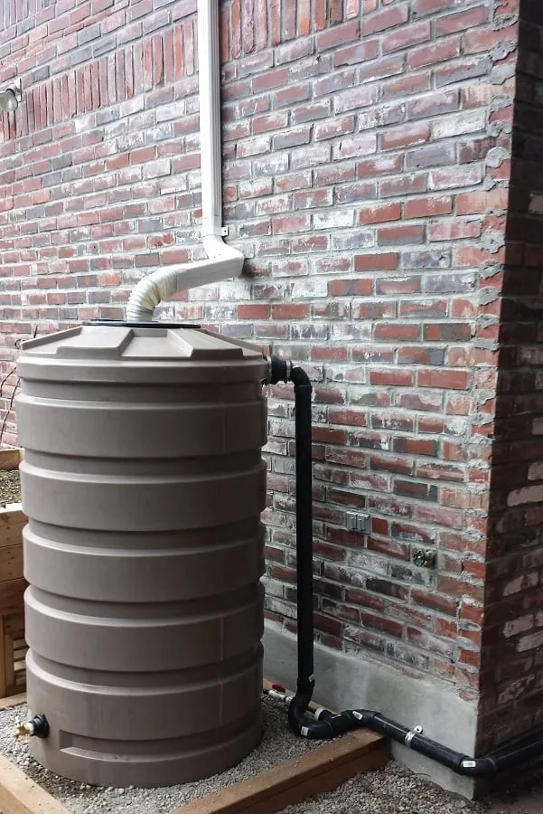 Professional lawn mowing service near you in Seattle, WA by Monsoon Rain Gardens