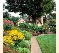 Reliable landscape design in Oviedo, FL - Monster Cuts