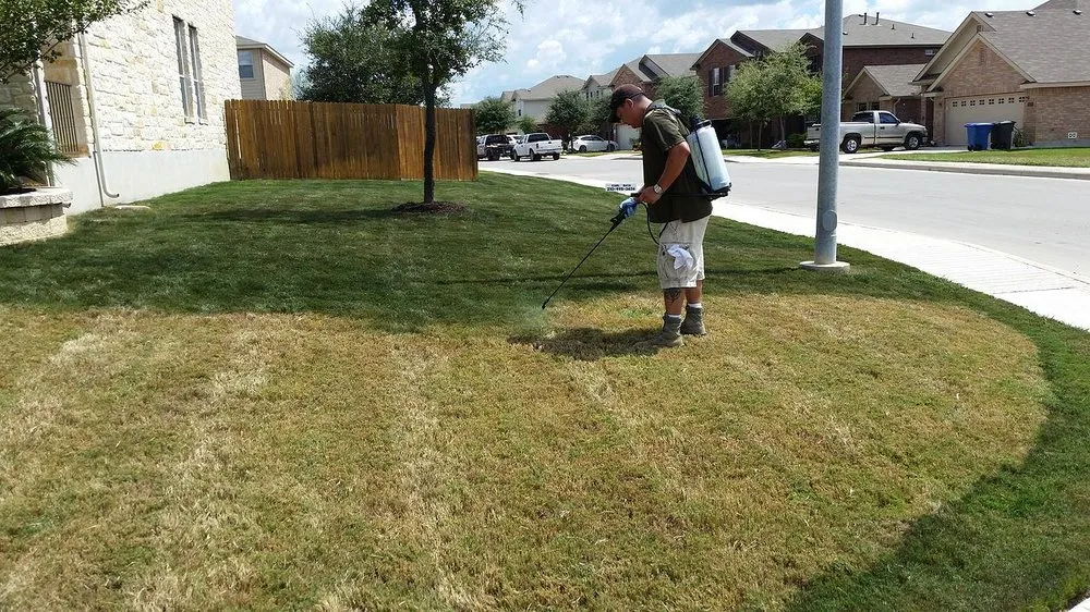 Local landscape installation in San Antonio, TX by Monster Green Lawn Care