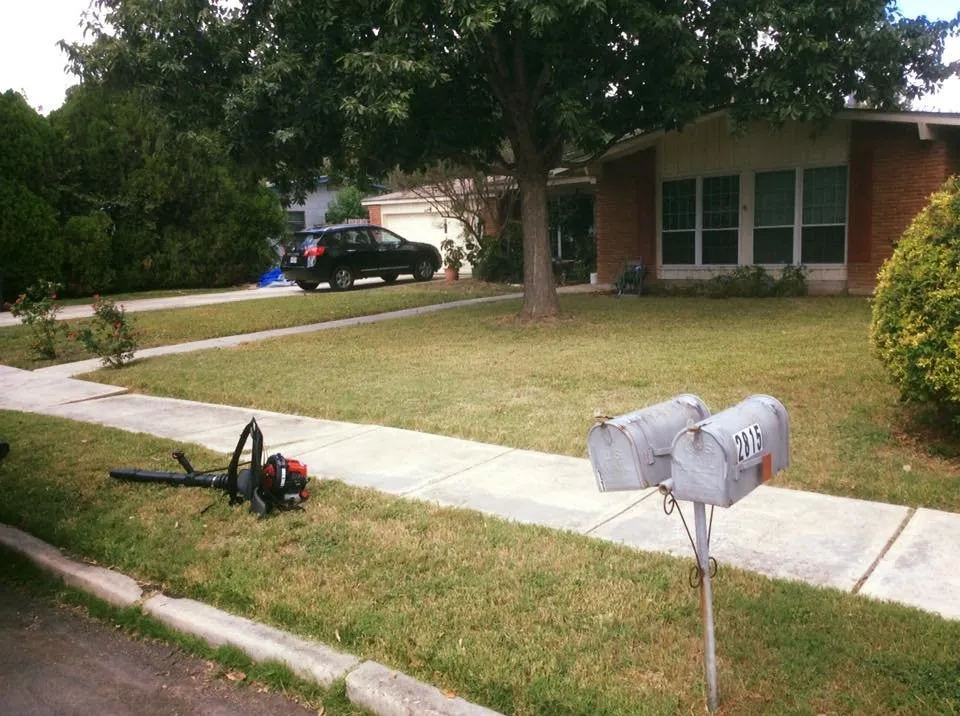 Expert yard cleanup service in San Antonio, TX by Monster Green Lawn Care