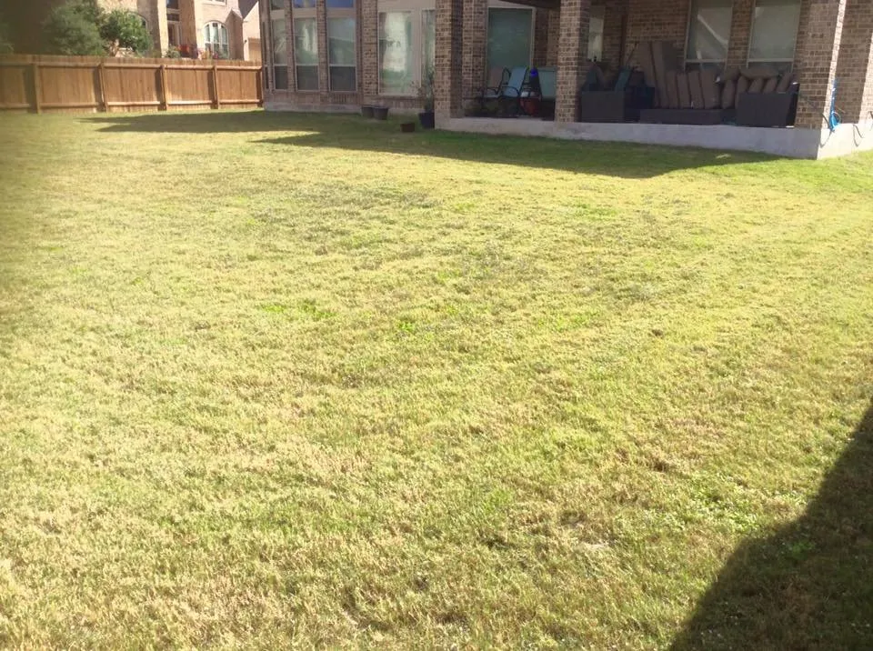 Professional garden landscaping near you across San Antonio, TX - Monster Green Lawn Care