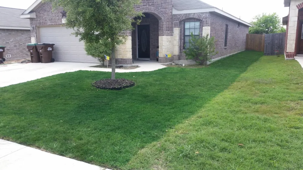 Professional residential landscaping for year-round maintenance in San Antonio, TX by Monster Green Lawn Care