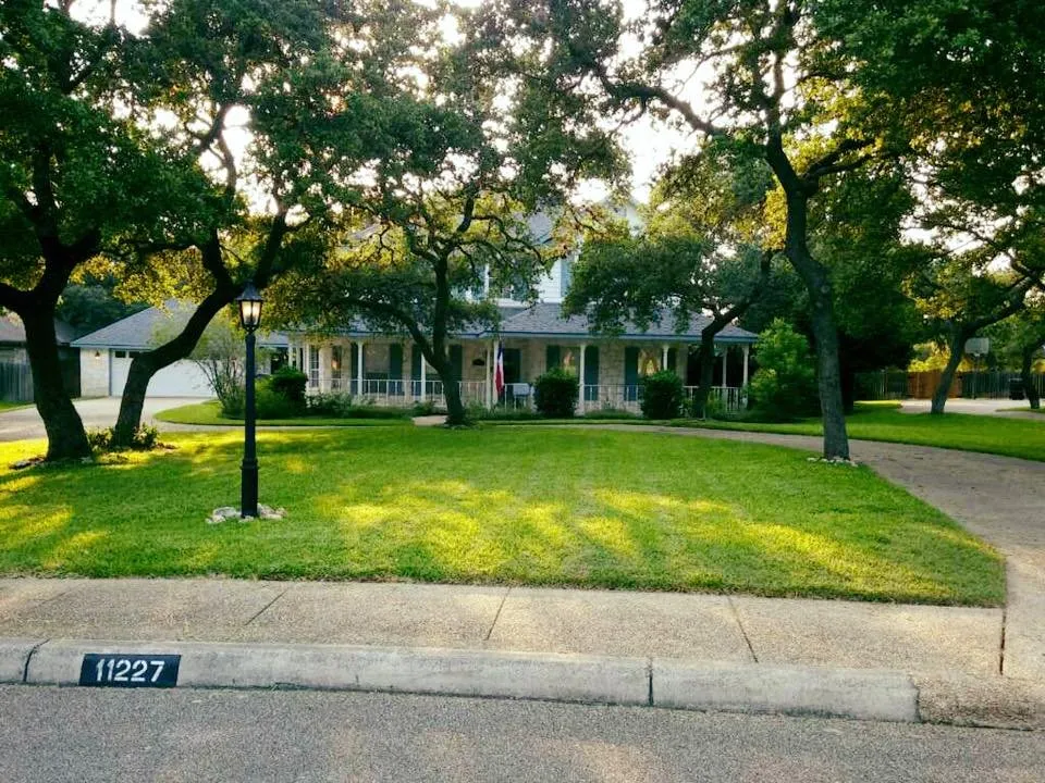 Affordable lawn care service in San Antonio, TX by Monster Green Lawn Care