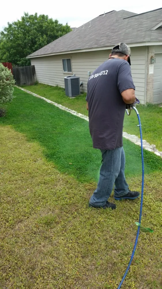 Reliable yard cleanup service in San Antonio, TX - Monster Green Lawn Care