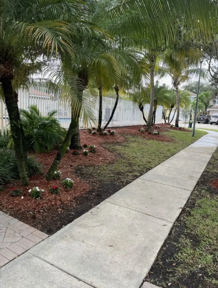 Reliable outdoor landscaping for beautiful yards in Cutler Bay, FL by Monster Lawn Service