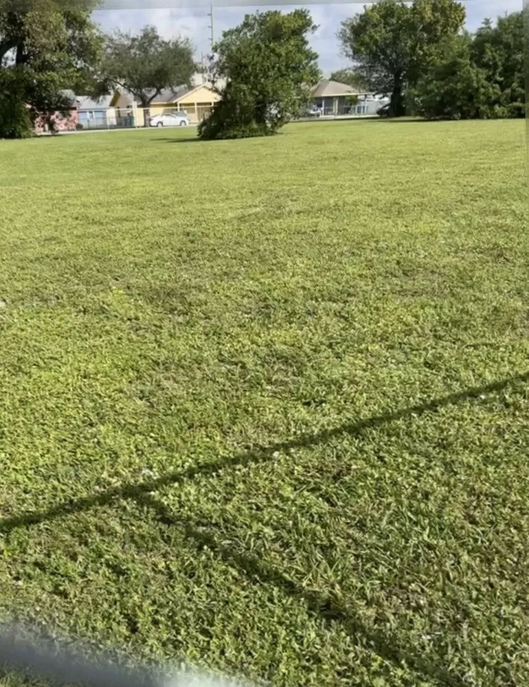 Trusted outdoor landscaping experts serving Cutler Bay, FL - Monster Lawn Service