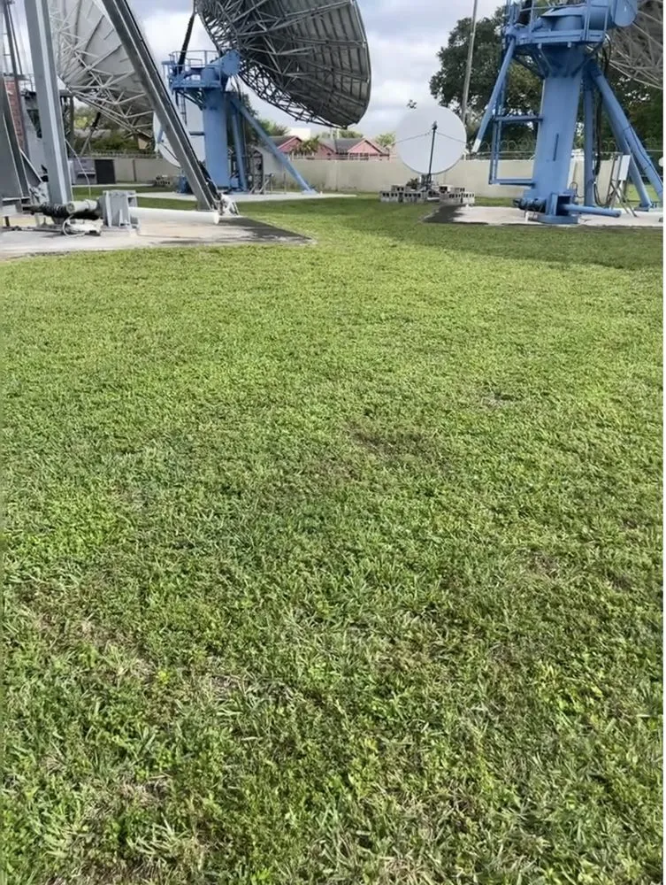 Top-rated residential landscaping near you in Cutler Bay, FL by Monster Lawn Service