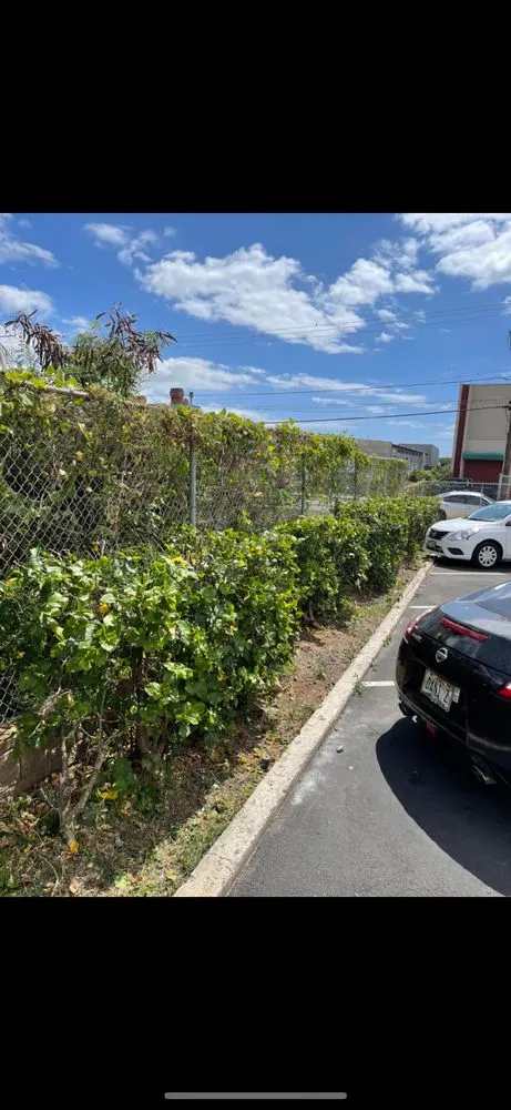 Expert garden landscaping in Iroquois Point, HI by Monster Man Lawn Service