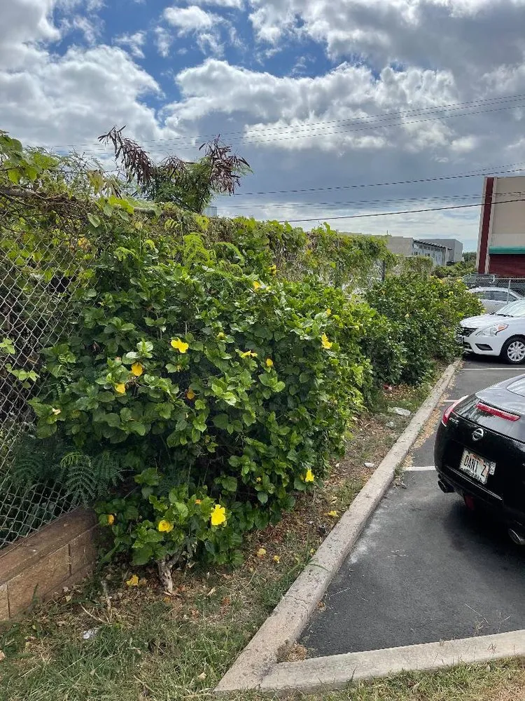 Affordable landscape installation in Iroquois Point, HI - Monster Man Lawn Service