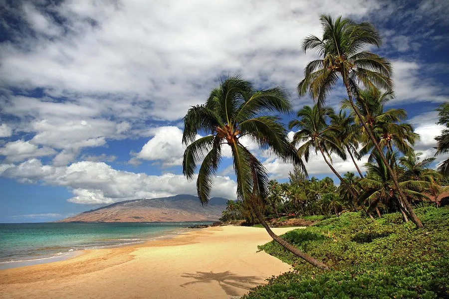 Professional lawn care service in Iroquois Point, HI - Monster Man Lawn Service