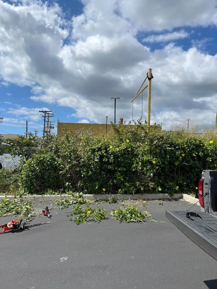 Local garden landscaping in Iroquois Point, HI by Monster Man Lawn Service