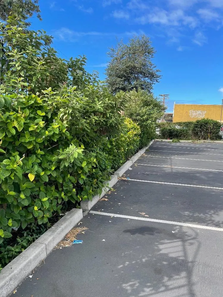 Affordable landscape design with custom design across Iroquois Point, HI - Monster Man Lawn Service