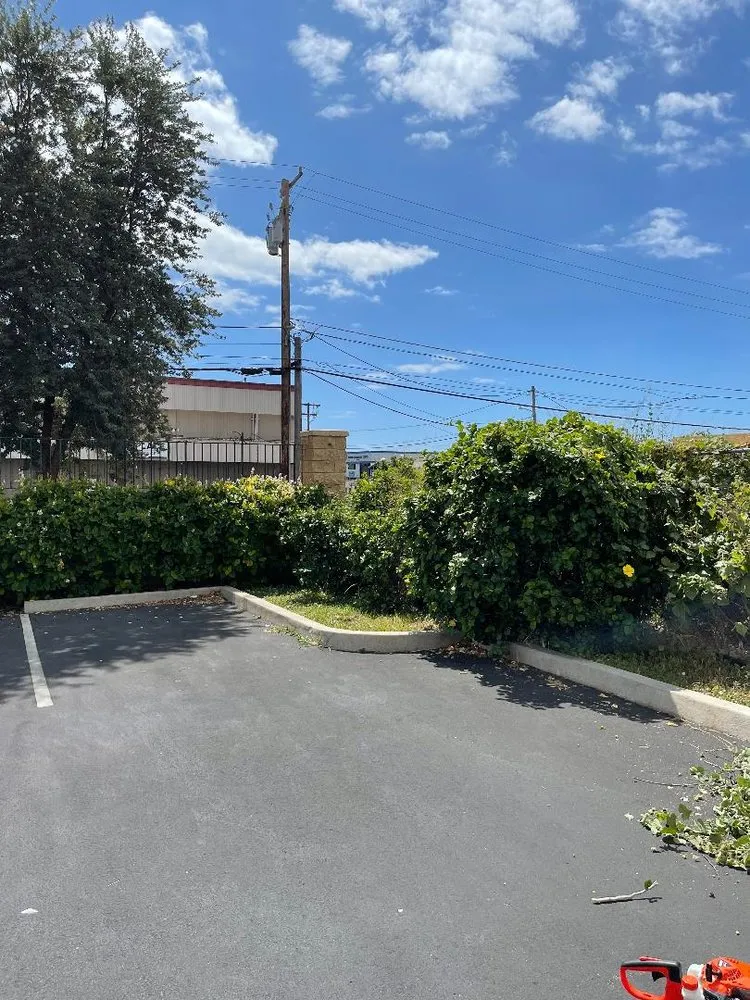 Top-rated yard cleanup service for residential properties in Iroquois Point, HI by Monster Man Lawn Service