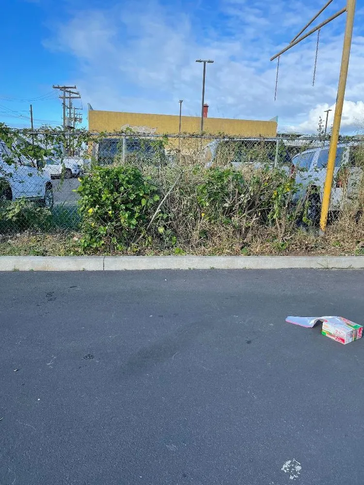 Professional residential landscaping in Iroquois Point, HI by Monster Man Lawn Service