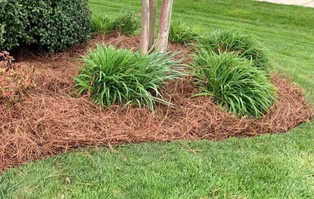 Top-rated lawn mowing service in Roswell, GA - Monster Pine Straw