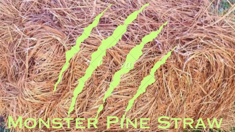 Affordable lawn mowing service experts serving Roswell, GA - Monster Pine Straw